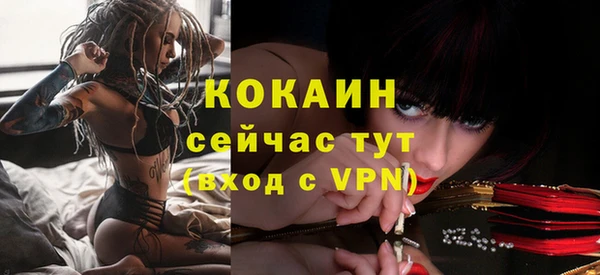 spice Алзамай