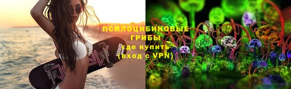 spice Алзамай