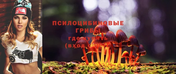 spice Алзамай