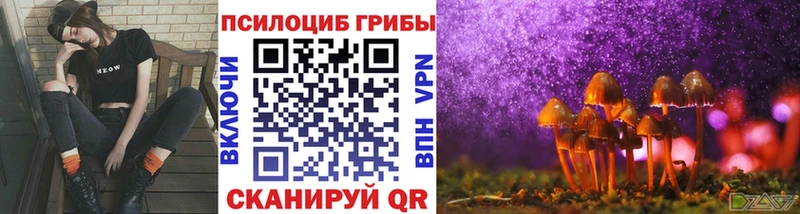 Галлюциногенные грибы мицелий  omg ссылки  Мензелинск 