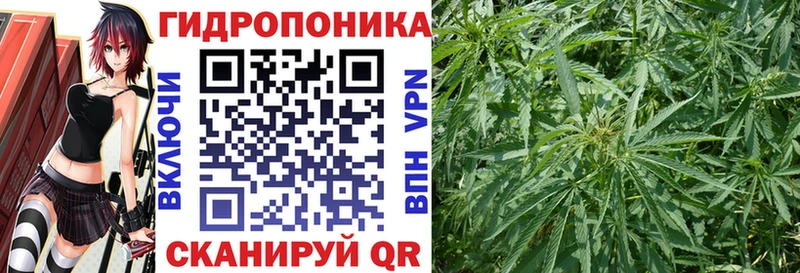 Марихуана индика  mega tor  Мензелинск 